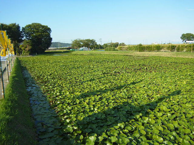 安田城跡歴史の広場（富山県富山市）