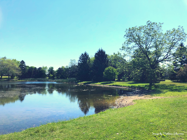 Tranquil moment gazing at the pond