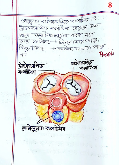 SSC Biology Chapter 7 Hand Note