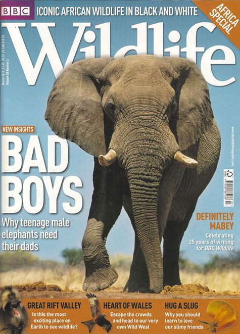 BBC Wildlife Elephant Cover