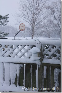 Christmas20103rdSnow2010 118