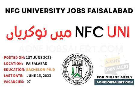 Jobs Advertisement NFC Institute Of Engineering & Fertilizer Research