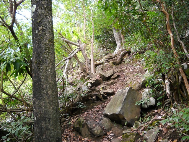DSCN4006_2