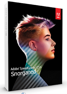 Adobe SpeedGrade CS6 6