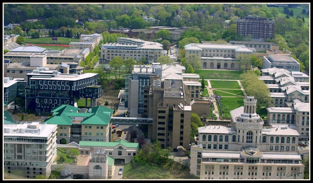 Carnegie Mellon Human Computer Interaction Institute, The World's 25 Best Design Schools, 25 Sekolah Desain Terbaik Dunia, School of design, sekolah desain, design, desainer