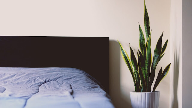 dormir con plantas en la habitacion