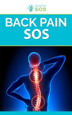 Back Pain SOS PDF Reviews eBook