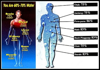 Tubuh Membutuhkan air yang bersifat alkali