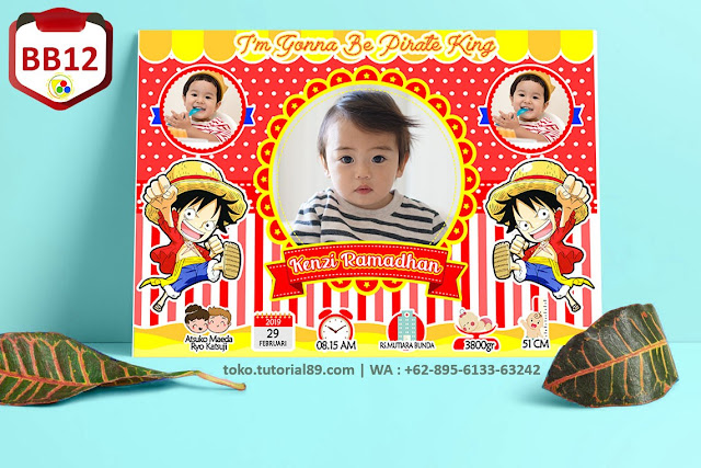 Biodata Bayi Costume Baby Boy Kode BB12 | Lufy