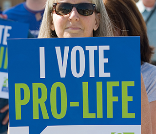 National pro-life group endorses Ives for Governor in IL GOP primary