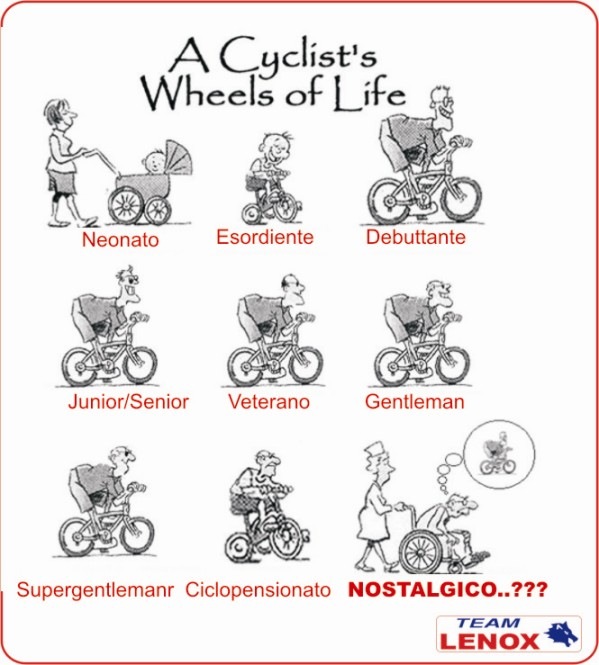 Ciclo di vita