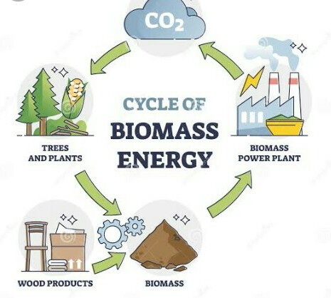 Sustainable Bioenergy and Climate Change Mitigation Strategies