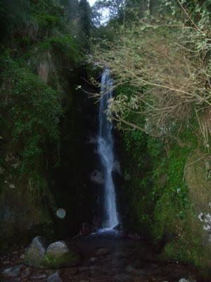 Posted by Ripple (VJ) : What is there in Dalhousie to visit : Main Places in Dalhousie, Himachal Pradesh, Trourist places in Dalhousie: Dalhousie : Waterfall @ Dalhousie, Himachal Pradesh.Dalhousie is a entry for the ancient Chamba Hill State, which is a District of the state of Himachal Pradesh of India. This hilly region is a repository of ancient Hindu culture, art, temples, and handicrafts preserved under the longest-running single dynasty since the 6th century. Chamba is the hub of this culture. Chamba disctrict is home to the Gaddi and Gujjar tribes and has 84 ancient temples dating from the 7th–10th century AD.: An inetersting and one of the best Hill stations in Himachal Pradesh: ripple, Vijay Kumar Sharma, ripple4photography, Frozen Moments, photographs, Photography, ripple (VJ), VJ, Ripple (VJ) Photography, Capture Present for Future, Freeze Present for Future, ripple (VJ) Photographs , VJ Photographs, Ripple (VJ) Photography : Waterfall @ Dalhousie, Himachal Pradesh