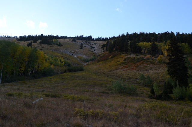 grassy area above