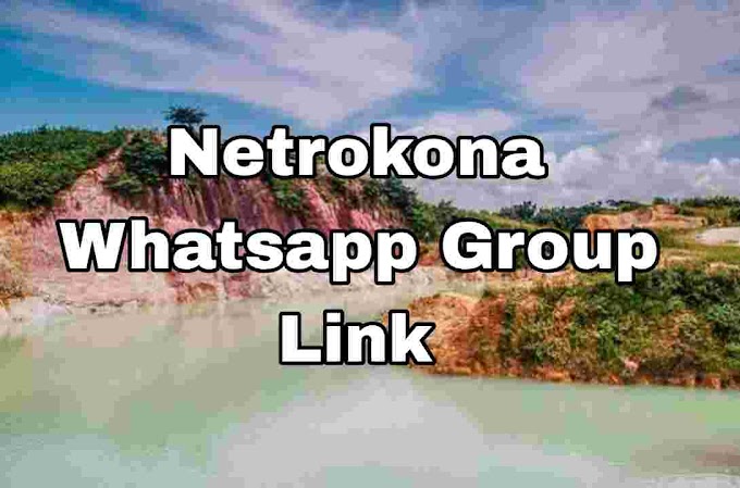 Netrokona Whatsapp Group link ( Girls, Jobs, Business, News Groups )