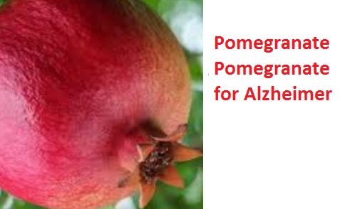 Health Benefits of Pomegranate Fruit (anar fruit) juice - Pomegranate Pomegranate for Alzheimer’s