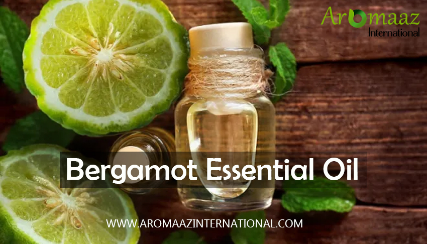The History, Benefits, and uses of Bergamot Oil
