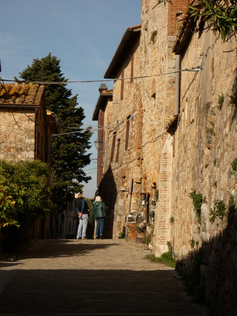 Sincerely Loree:  Monteriggioni, Tuscany