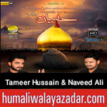 http://www.humaliwalayazadar.com/2015/10/tameer-hussain-and-naveed-ali-nohay-2016.html