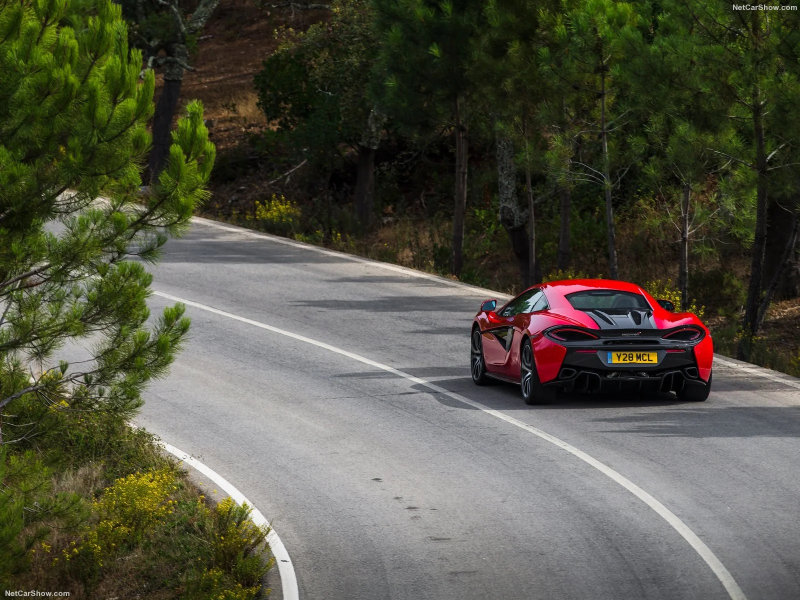 Hình ảnh siêu xe McLaren 570S Coupe 2016 & nội ngoại thất