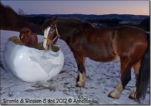 2012-8des-blessen_02