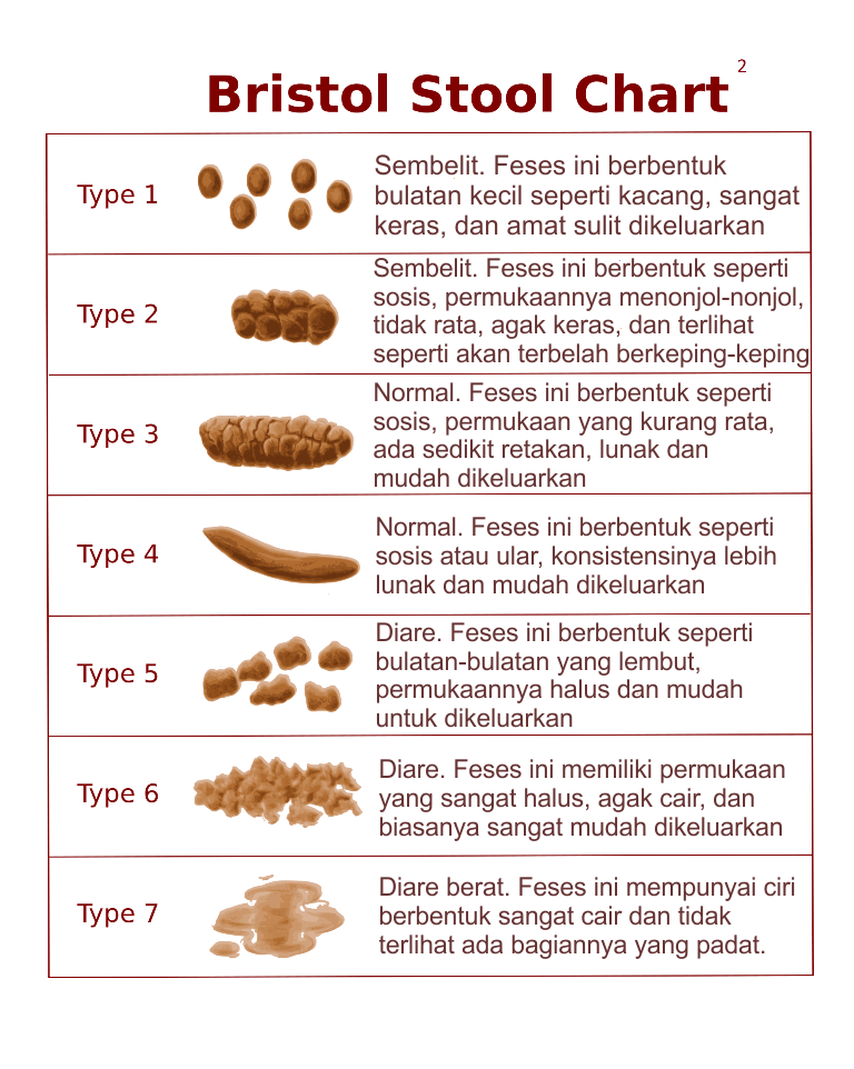 Ide Populer 24+ Warna Feses Abu Abu Pada Anak