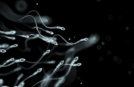 Estudo relaciona uso de celulares à diminuição da qualidade e contagem de espermatozoides