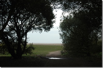 walk no 12 026