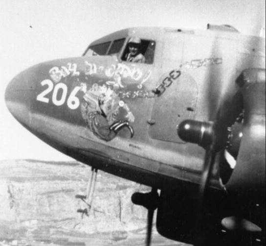 Just A Car Guy: nose art on the 29th troop carrier squadron, of the IX ...