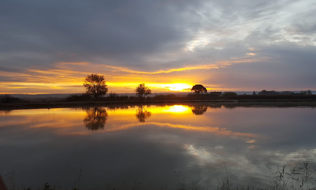 Lago de pesca de Bellpuig