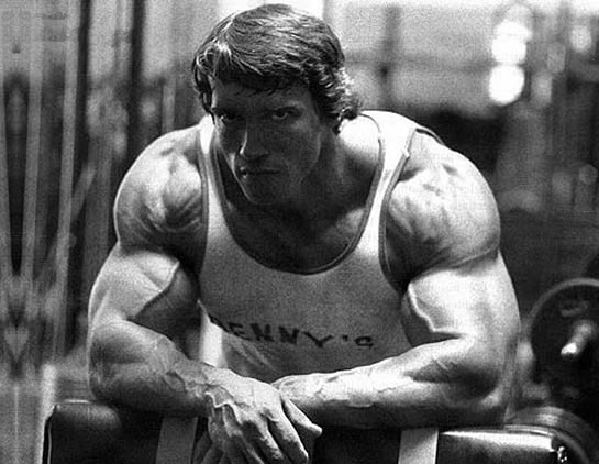 arnold schwarzenegger bodybuilding workout