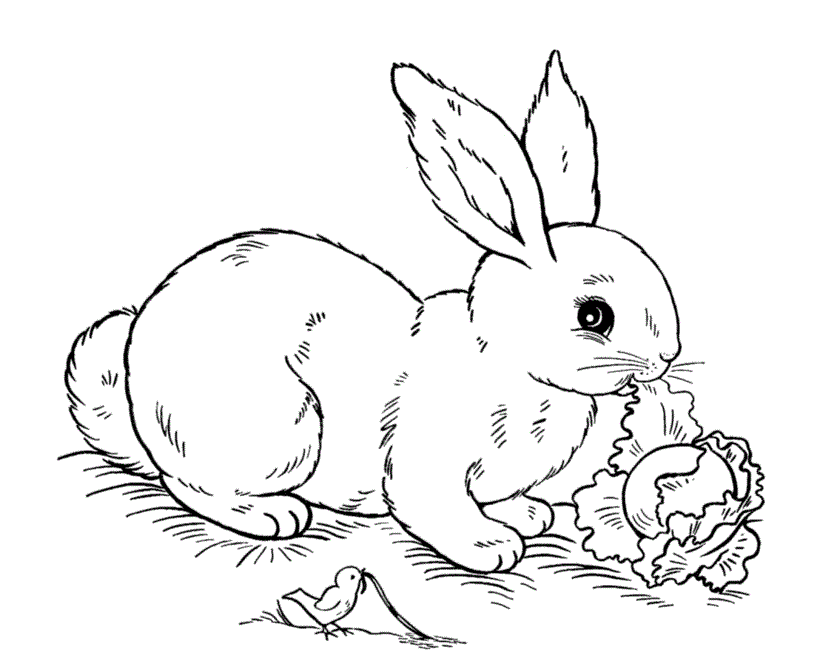 Easter Rabbit Coloring Page Coloring Home