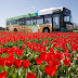 Uitbreiding rechtstreekse busverbindingen naar Keukenhof