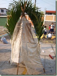 P4213431