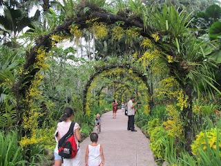 National Orchid Garden, Singapore