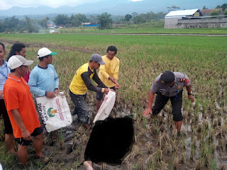 Di Duga Penyakit Kambuh, Suratno Ditemukan Meninggal Di Sawah