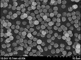 Amine-terminated magnetic silica beads