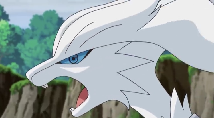 Best Reshiram Nicknames ideas