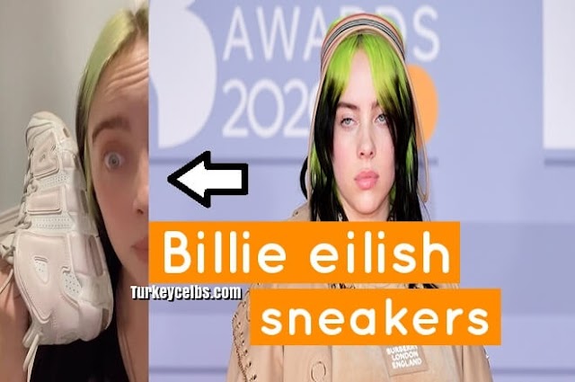 Billie eilish sneakers no one can agree on what color these shoes are .