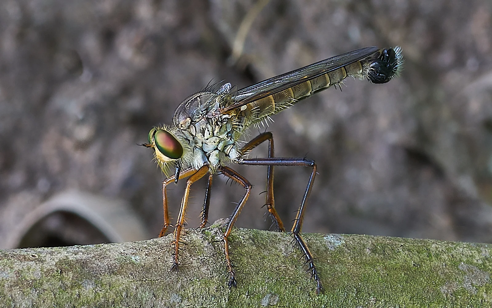 Side, front, top, bottom, head on and of course how close are crucial questions for macro/close-up photography.