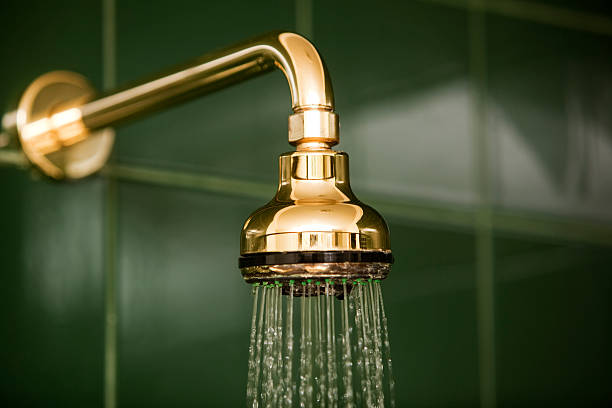 What are Popular Gold Shower Head Styles