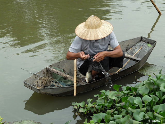 reserve naturelle van long ninh binh paysan pecheur barque tole