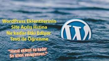 Wordpress Eklentileri Site Açılış Hızını Kaç Saniye Etkiler