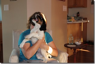 IMG_3492 IMG_3492