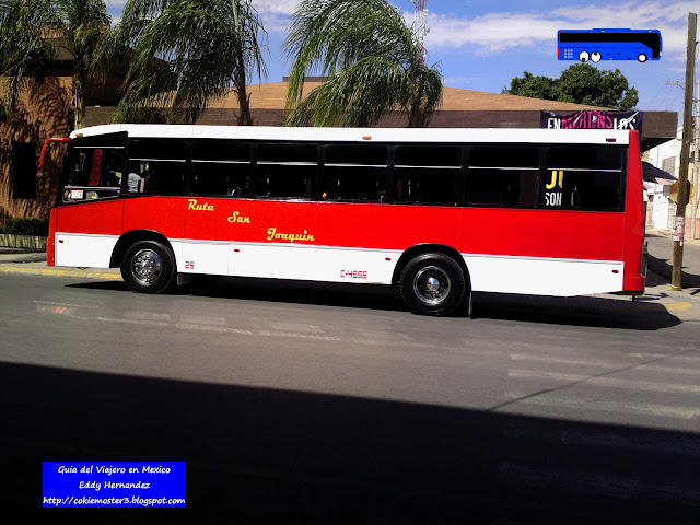 Autobus Urbano de Torreón