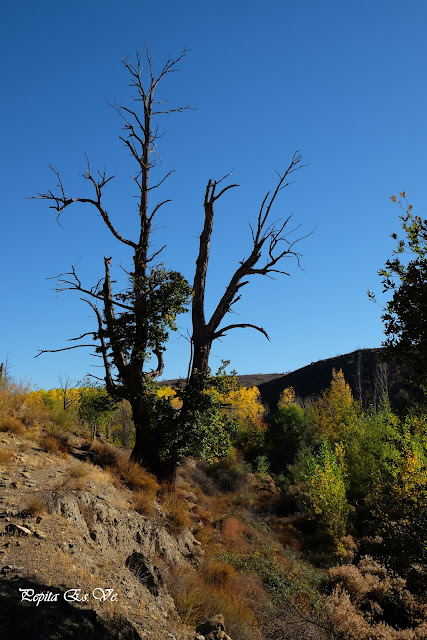 Otoño, senderismo, Jérez del Marquesado