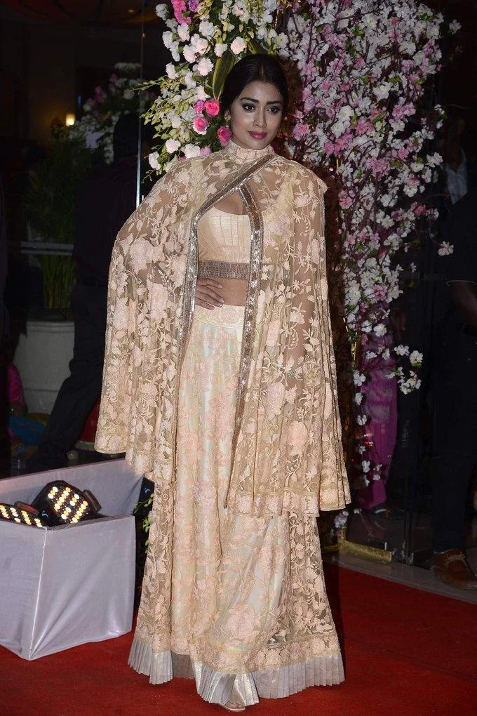 Model Shriya Saran At Wedding Reception In Pink Dress