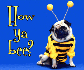 cute dog graphics