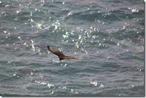 IMG_1171