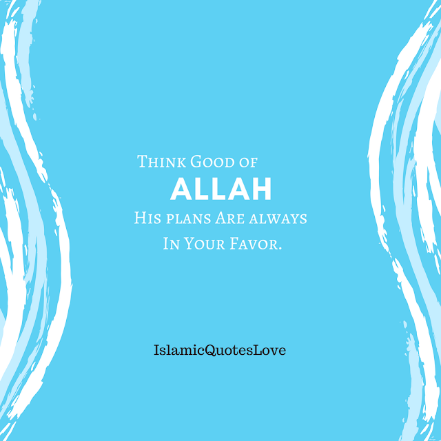 Think good of ALLAH his plans are always in your favor.